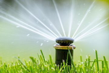 Lawn Care & Irrigation